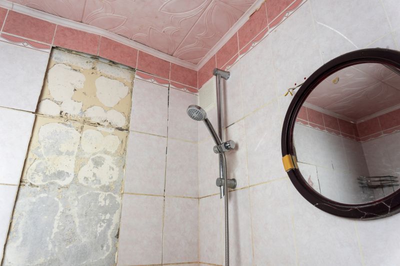 Top Shower Remodeling Companies in Howell, MI